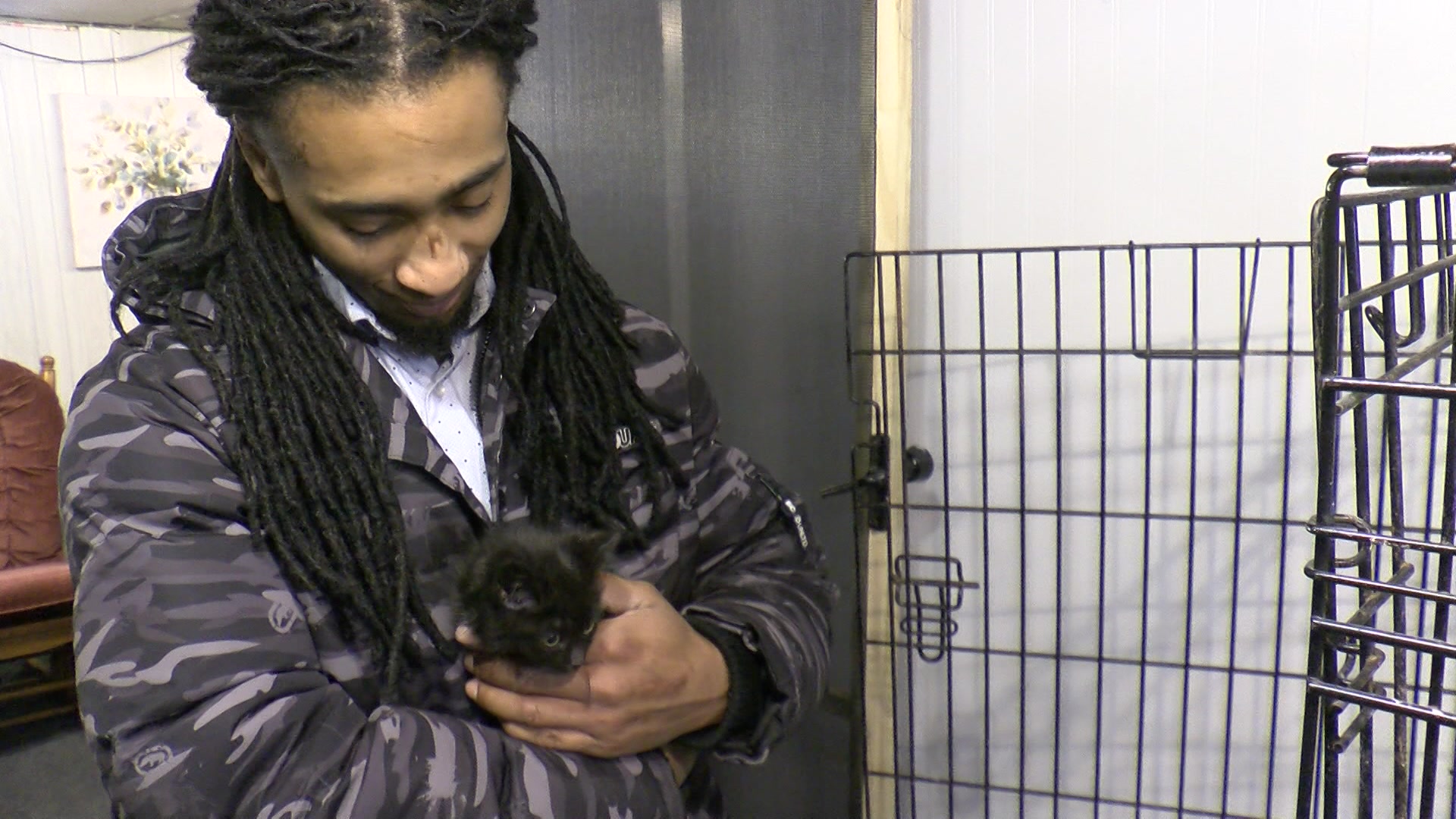 ‘It feels amazing’: Milwaukee handyman captures hearts on social media for rescuing cats [Video]