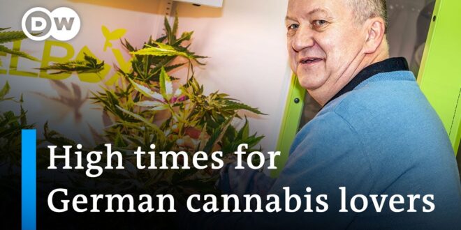 Germany legalizes cannabis at home and in public [Video]