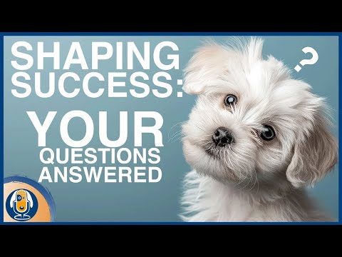 Common Misconceptions Around Shaping: Why You May Find Dog Training Frustrating [Video]
