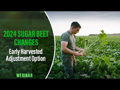 2024 Sugar Beet Changes – Early Harvested Adjustment Option [Video]