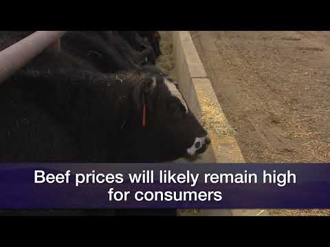 Livestock Marketing – Feb. 24, 2024 [Video]