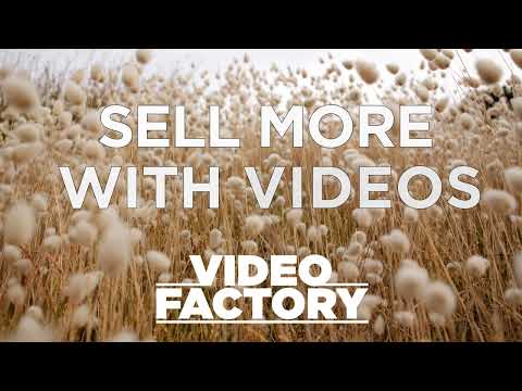 Video Marketing at Scale   VideoFactory [Video]