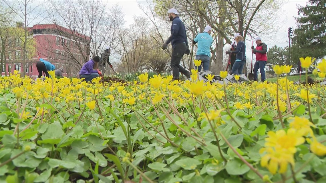Delaware North volunteers clean up MLK Park as Earth Day approaches [Video]