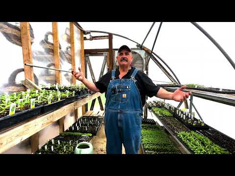 NCF Community Investment – Pendleton’s Produce [Video]