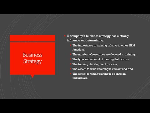 The Training Context – Business Strategy [Video]