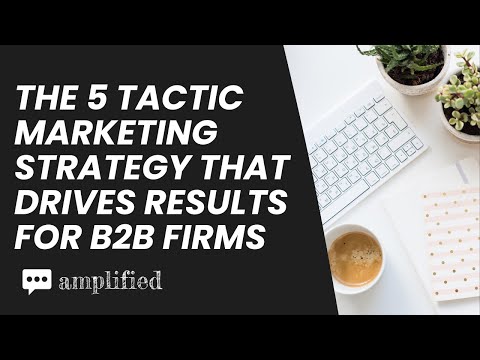 The 5 Tactic Marketing Strategy That Drives Results for B2B Firms [Video]