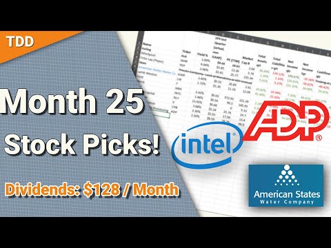 Dividend stocks we picked for month 25 |$INTC $AWR| Dividend Investing [Video]