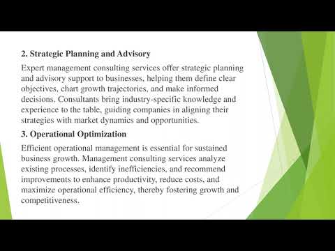 Empowering Business Growth Through Expert Business Setup And Management Consulting Services [Video]