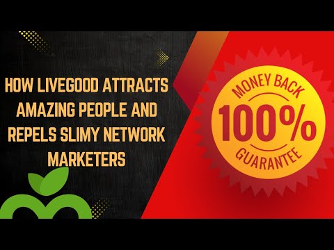 The Most Honest Business Opportunity in History! [Video]