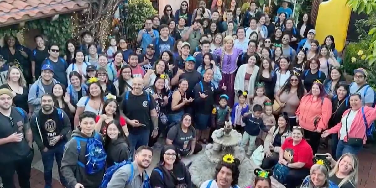 Boss pays off company challenge by taking entire team to Disneyland [Video]