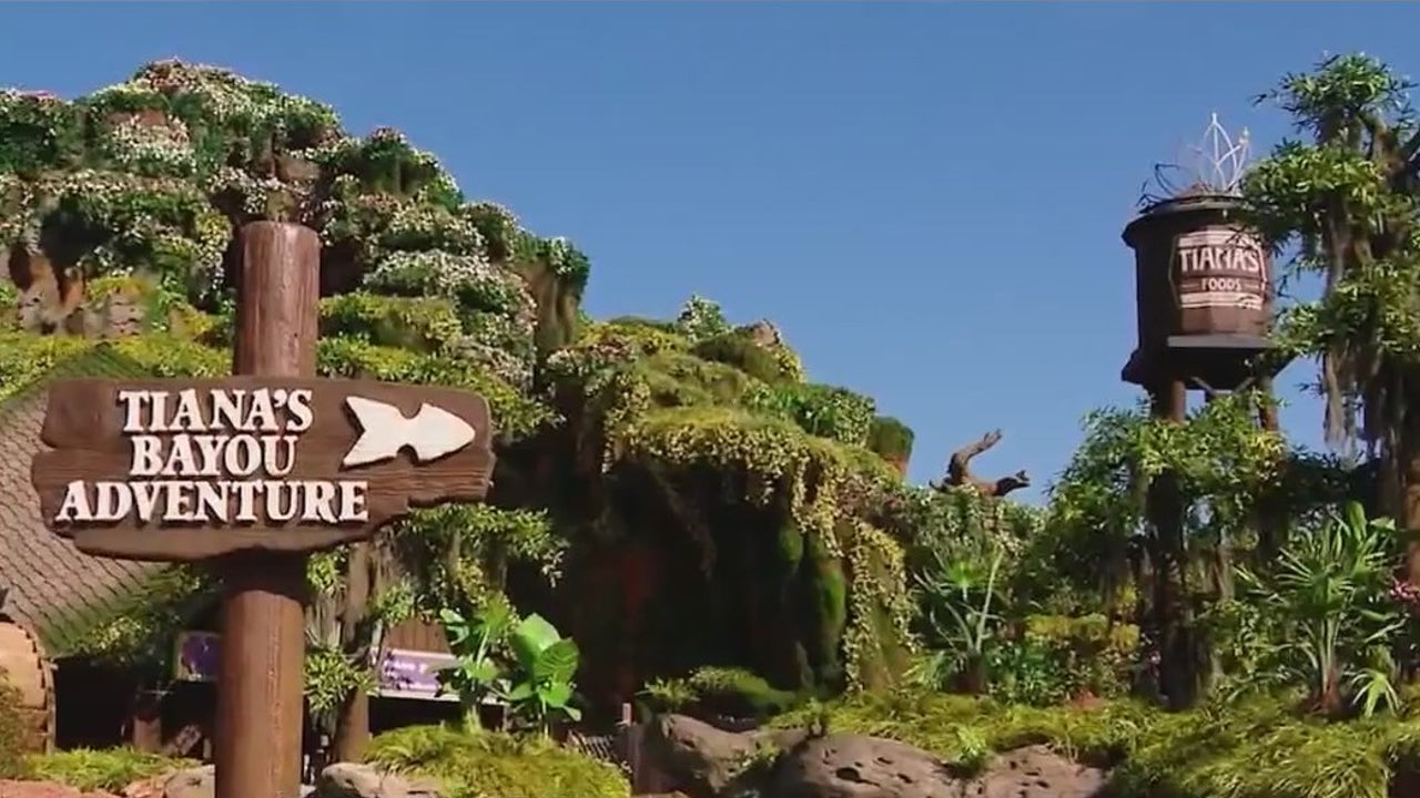 Florida businesses help create Disney attractions [Video]