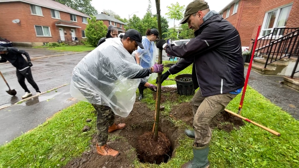 Volunteers help revitalize Overbrook with tree planting [Video]