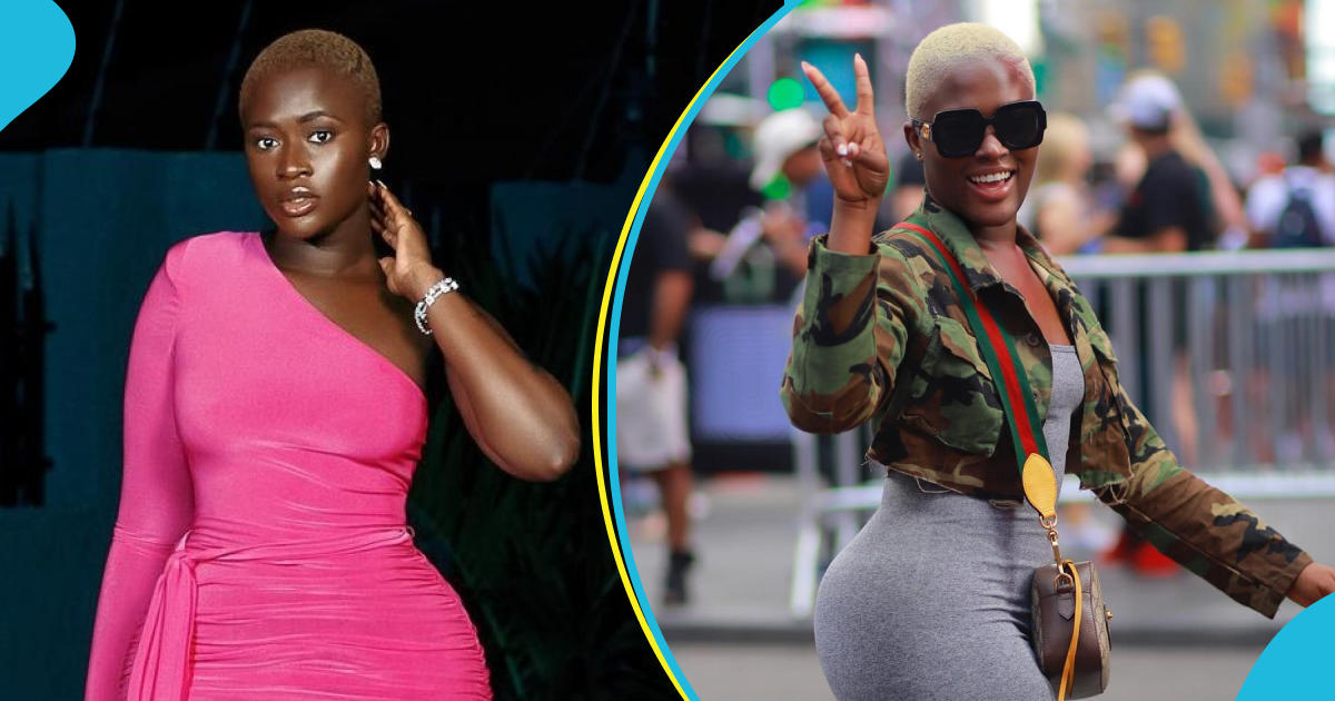 Fella Makafui Replies Trolls On X Over Her Alleged Affair In The US Amid Medikal Divorce Saga [Video]