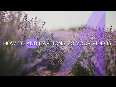 Use Augie Studio to EASILY Add Captions to Your Videos in Just a Few Seconds!