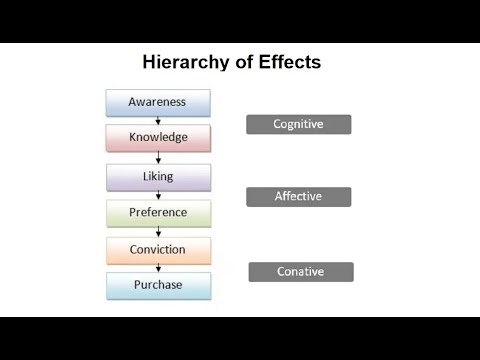 Understanding the Hierarchy of Effects Theory in Marketing (9 Minutes) [Video]