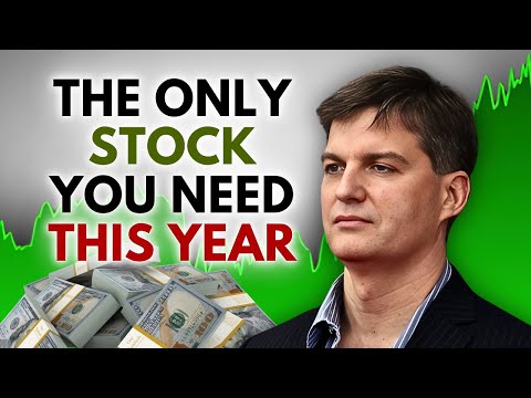 Michael Burry Reveals THE One Stock Asset to Make You Rich in 2024! [Video]