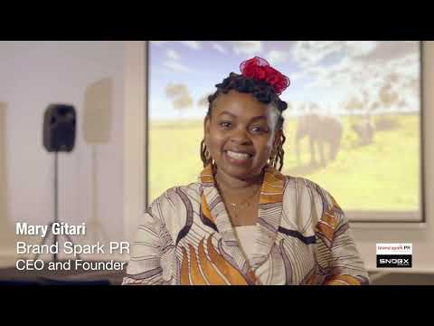 Brand Spark PR UNEP Corporate Training [Video]