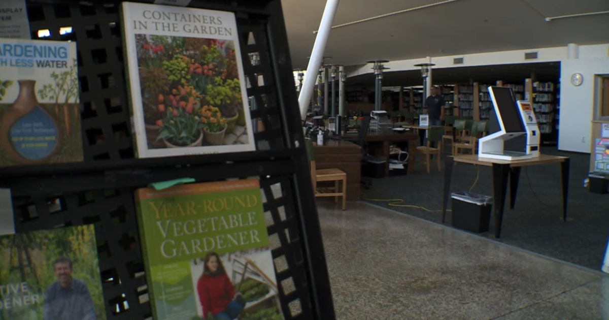 Mira Mesa Library reopens after quarter-million dollar makeover [Video]