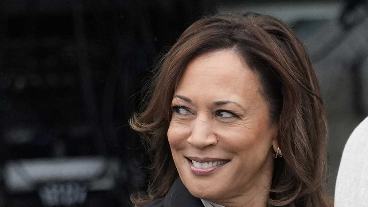 Kamala Harris presidential campaign: A daunting to-do list [Video]