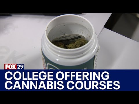 Stockton University to offer degree in hemp, cannabis business management [Video]