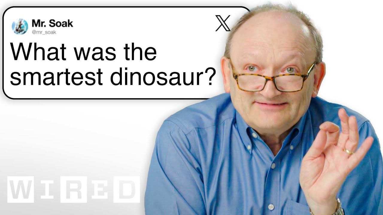 Paleontologist Answers Dinosaur Questions From Twitter  Adafruit Industries  Makers, hackers, artists, designers and engineers! [Video]