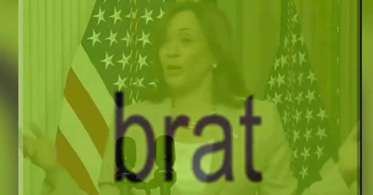 Harris embraces “brat summer” trend as she campaigns for president [Video]