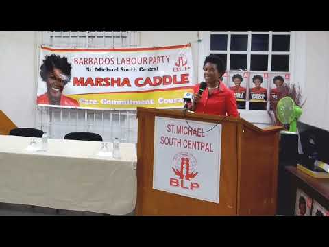 Marsha Caddle addresses the 2024 AGM of the St. Michael South Central Branch of the BLP [Video]