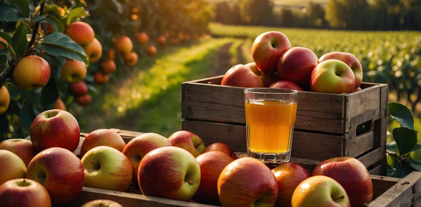 Craft cider is surprisingly good for the environment [Video]