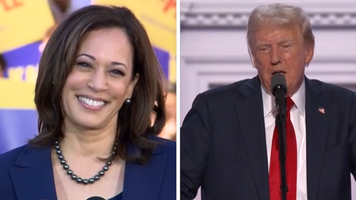 Kamala Harris’ candidacy shakes up presidential race [Video]