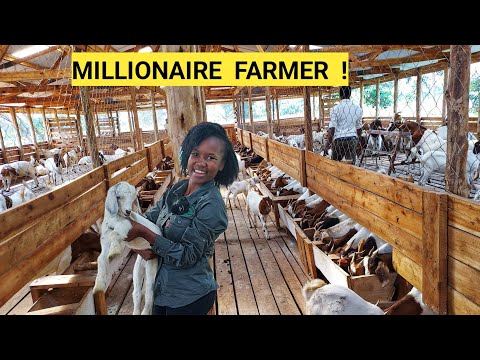 All You Need To Start A Simple Farm Business! | Business plan, Workers, Farm Routine. [Video]