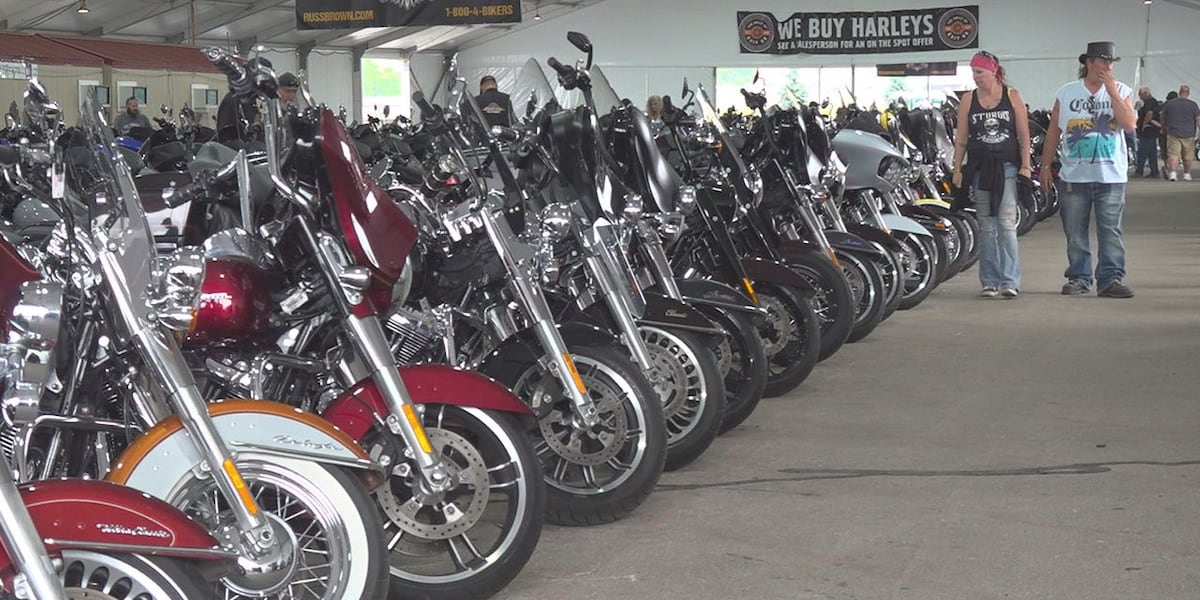 Black Hills Harley-Davidson dealership gears up for Sturgis Motorcycle Rally [Video]