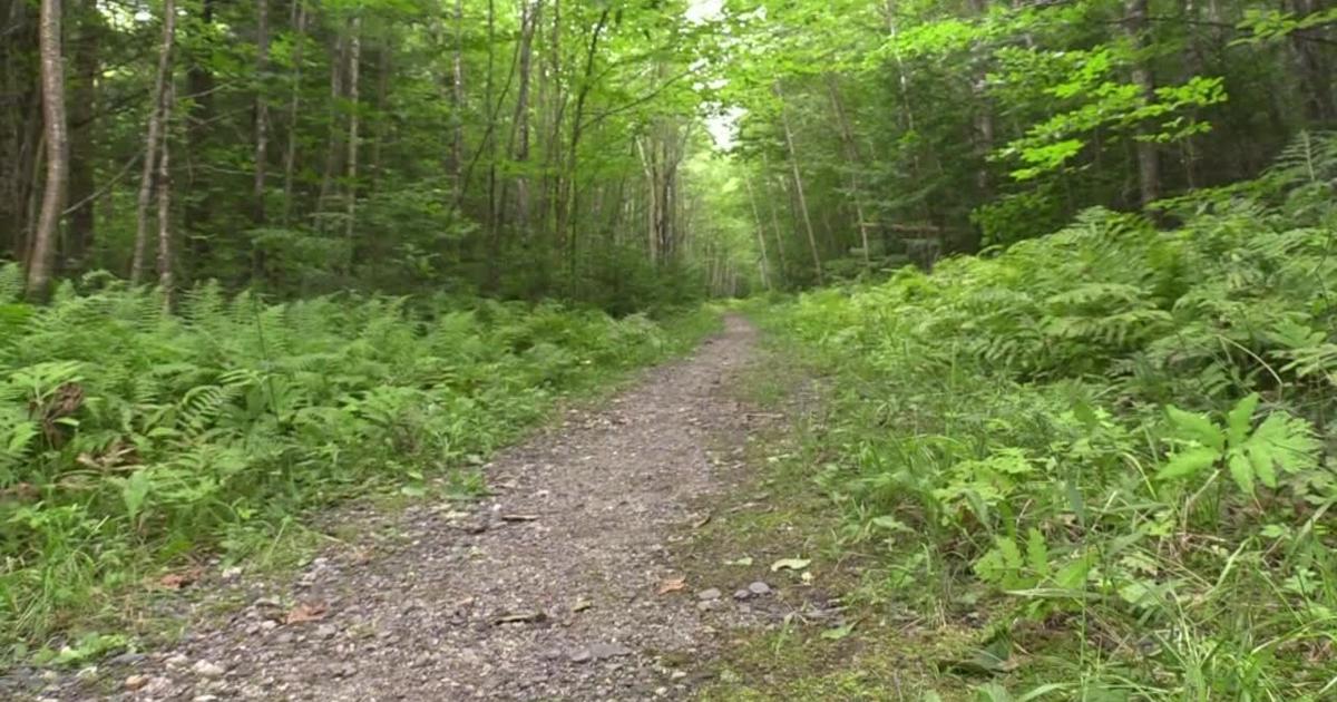 Master trail plan involves new hiking trails, park enhancements for Skowhegan | Local News [Video]