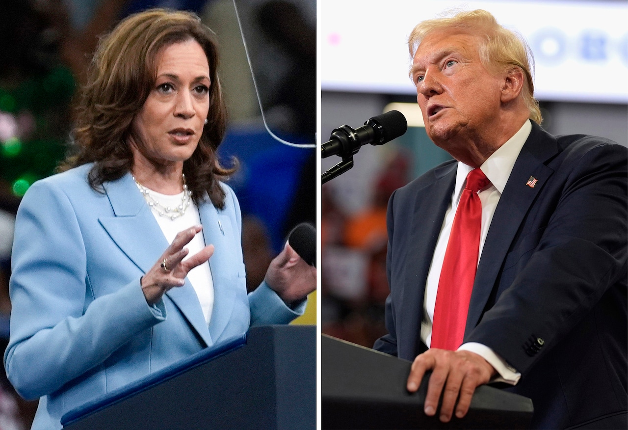 Kamala Harris has a likeable persona but lacks proven experience to be president [Video]