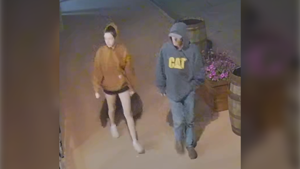 RCMP searching for suspects in ice cream statue theft [Video]