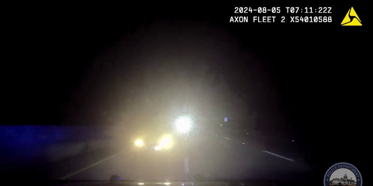 Roswell officers exemplary bravery stops wrong-way driver, department says [Video]