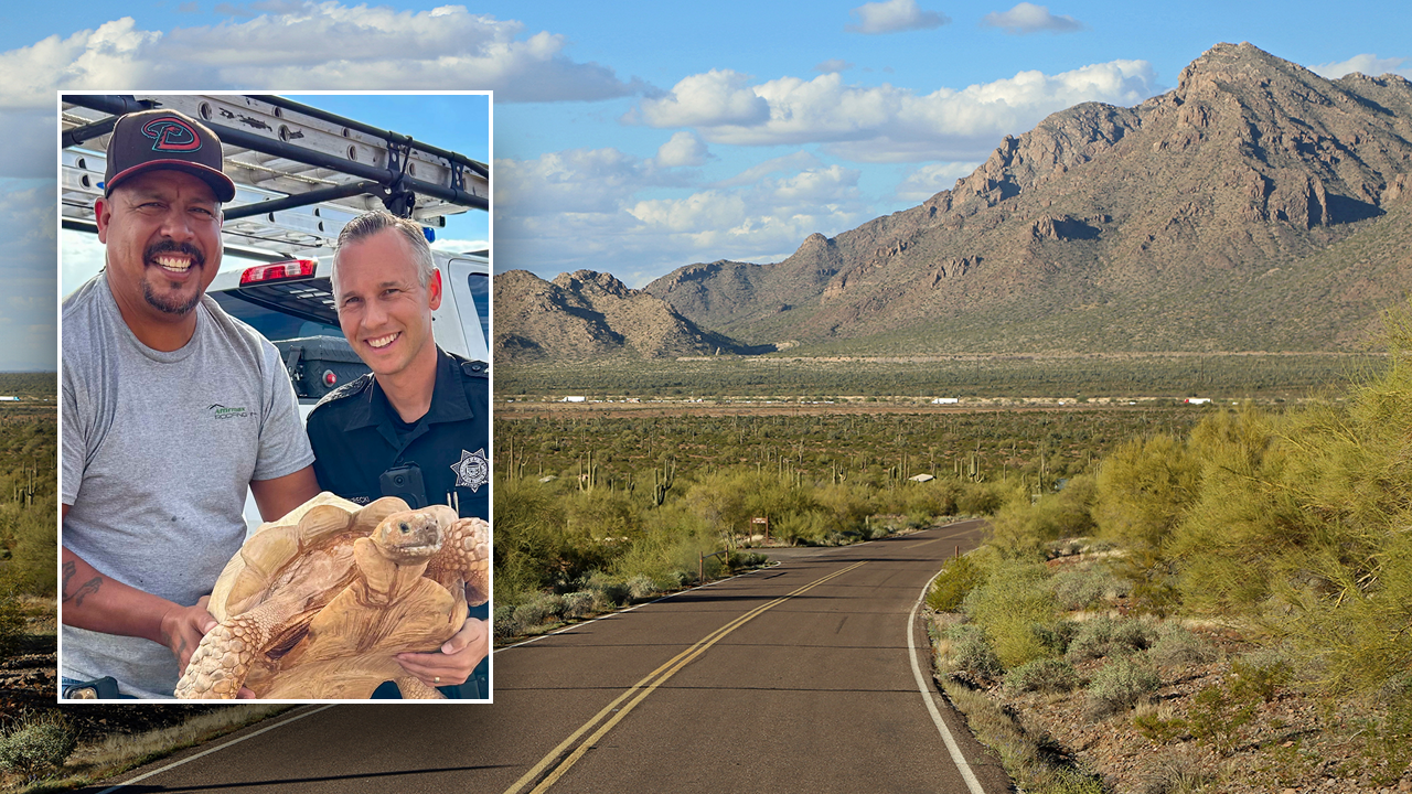 Emergency call leads Arizona officials to escaped reptile crossing busy highway [Video]