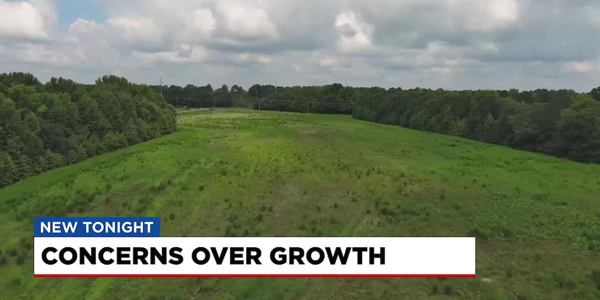 Concerns over growth in Fountain Inn [Video]