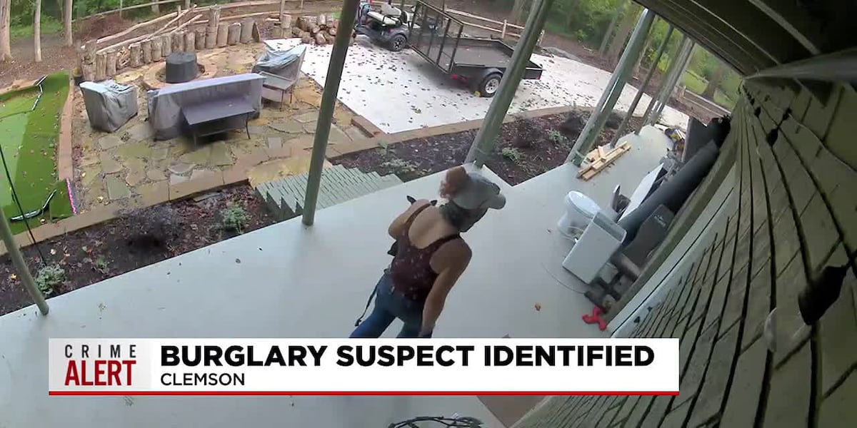 Burglary suspect identified [Video]