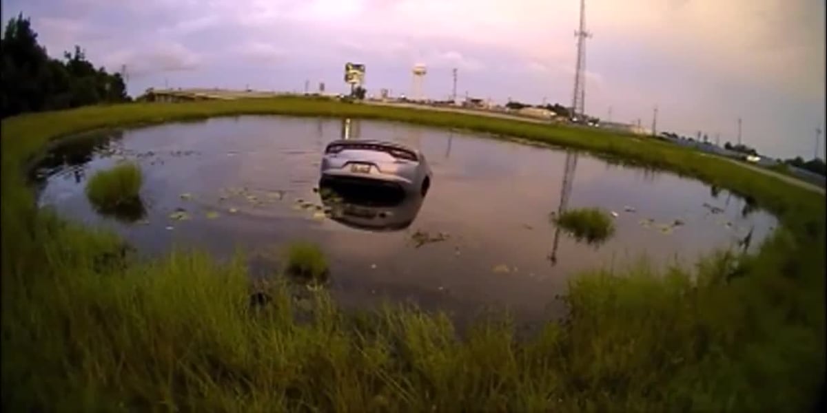 GRAPHIC: Officer saves mother from car almost completely submerged in pond [Video]