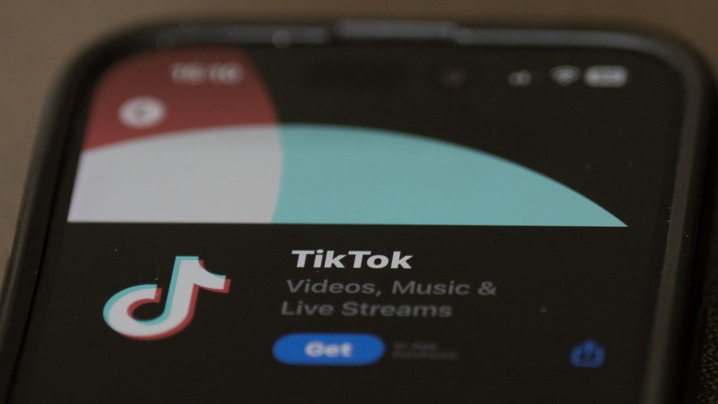 TikTok releases new safety tips for families on the app [Video]