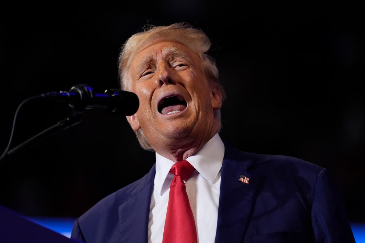 Watch as Donald Trump delivers remarks on the economy at Pennsylvania rally [Video]