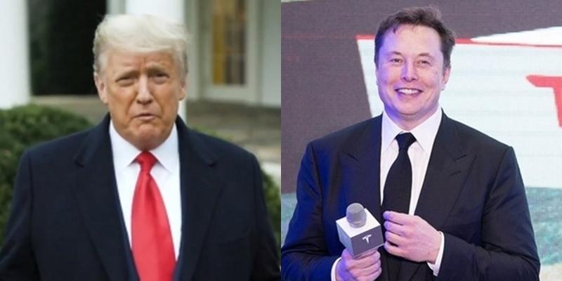 Musk Vies to Serve Trump If He Wins; Vows to Lead ‘Department of Government Efficiency’ [Video]