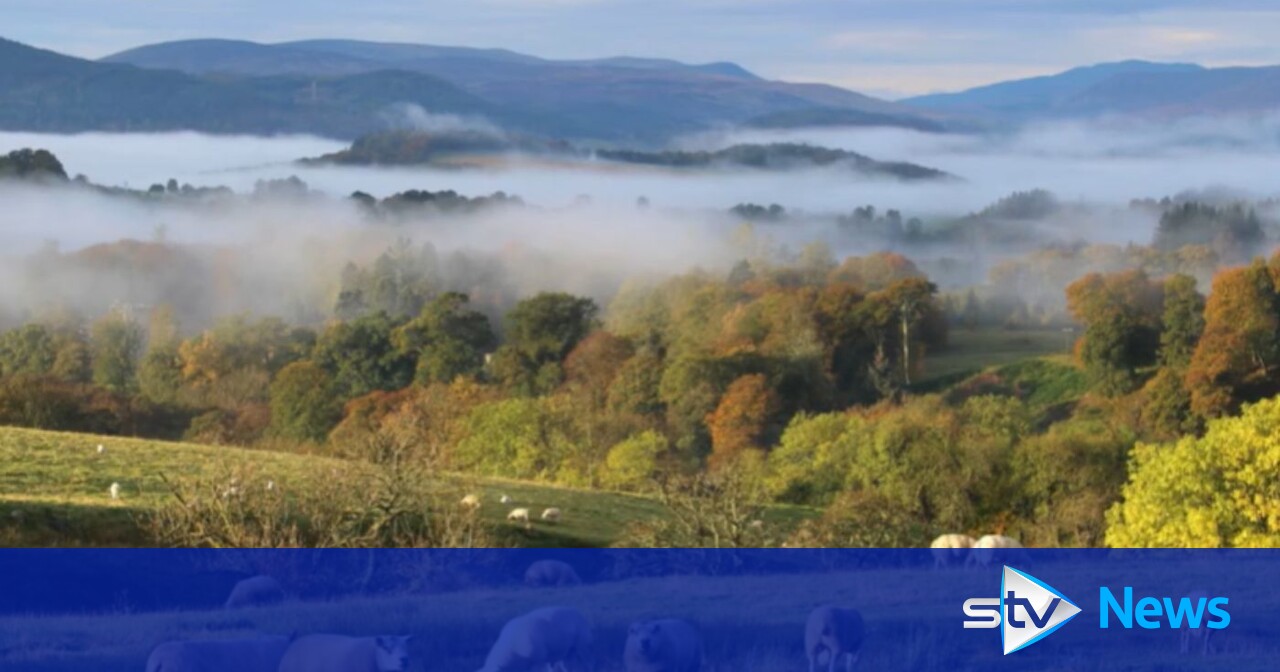 Perthshire farm uses social media in hunt for new shepherd [Video]