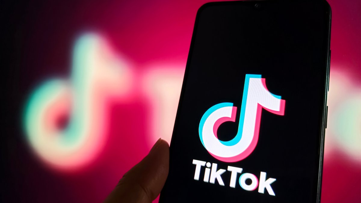 TikTok heads to federal court over potential US ban  NBC New York [Video]