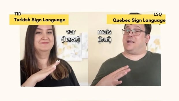 Deaf polyglots: How this couple communicates in 6 languages without making a sound [Video]