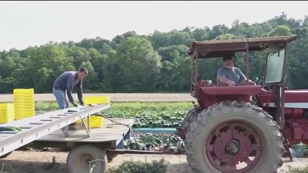 Napa Valley farmworker Foundation | KTVU FOX 2 [Video]