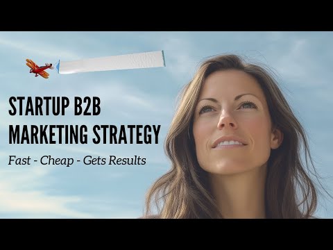 Startup B2B Marketing Plan – Strategies and Tactics For 2024 [Video]