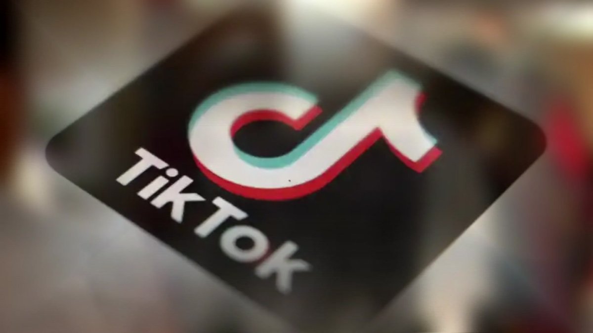 Illinois, 13 other states file lawsuit against TikTok for harmful practices targeting teens  NBC Chicago [Video]