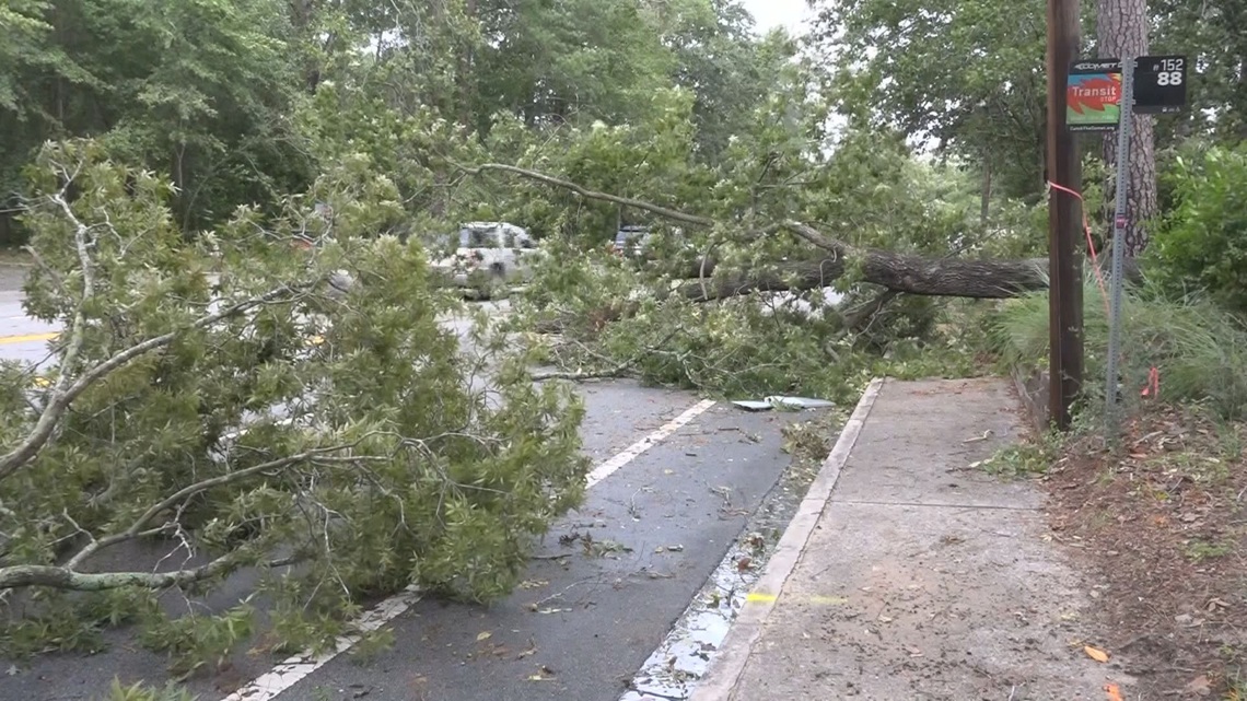 How to apply for FEMA assistance in South Carolina after Helene [Video]