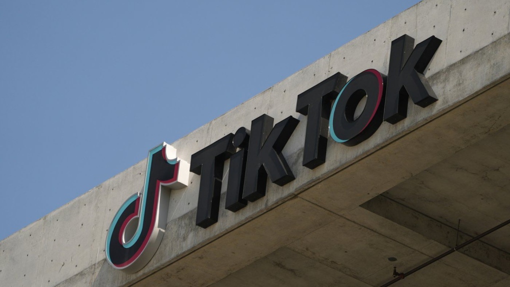 Watchdog: TikTok approves disinformation in ads [Video]